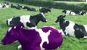 Seth Godin Purple Cow book review
