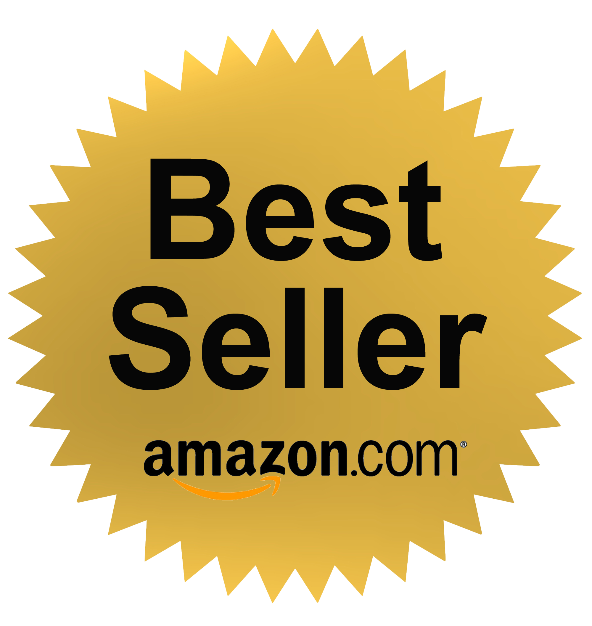 amazon kindle best seller list